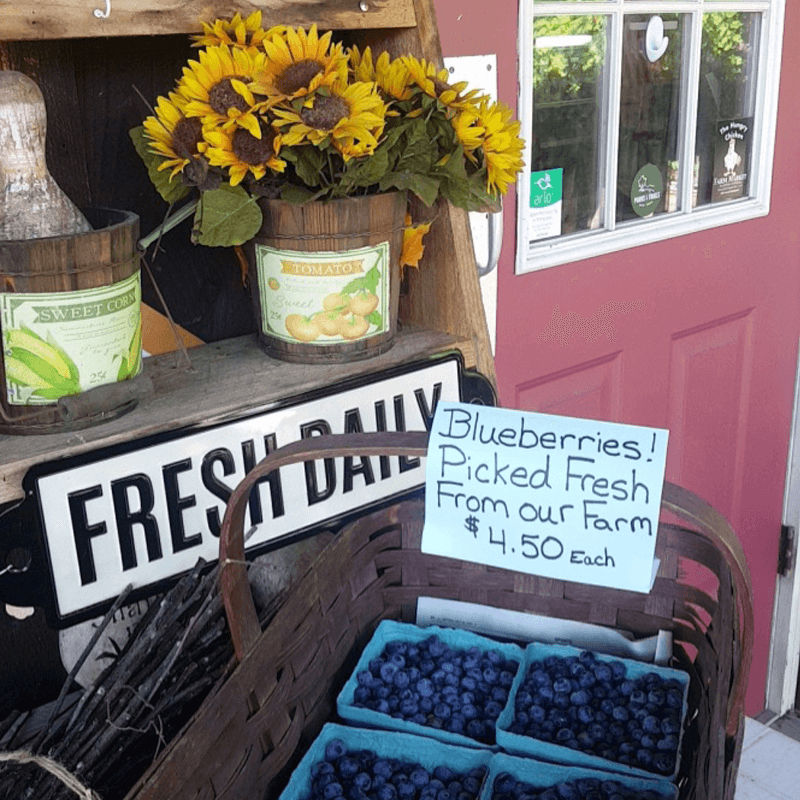 The Hungry Chicken Country Store Fresh Blueberries.